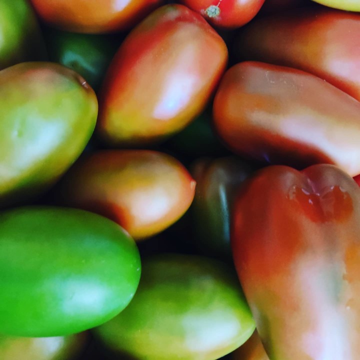 192885872_2032413173565100_9100591782777070465_n.j