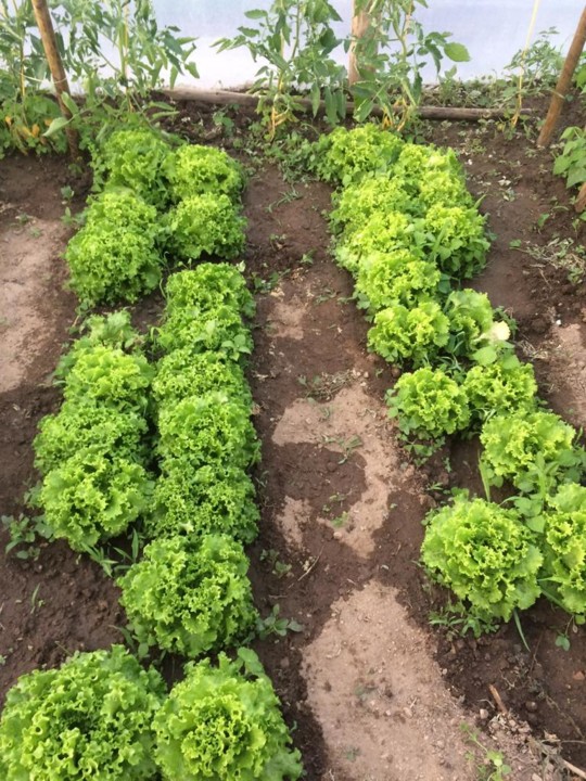 WhatsApp Image 2020-05-28 at 17.17.53 (1).jpeg