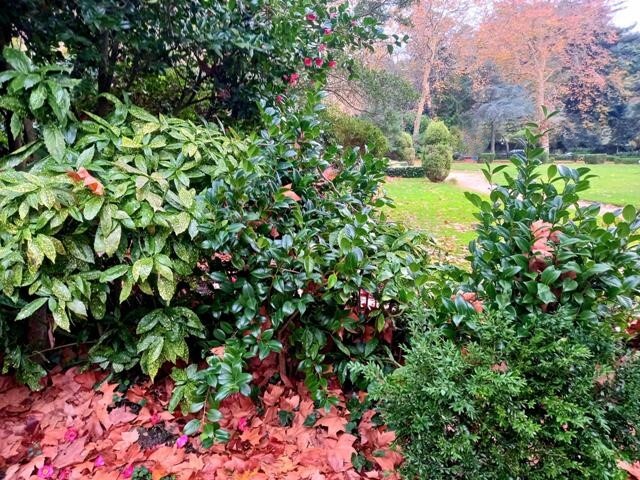 20231203_163336 - Cópia.jpg