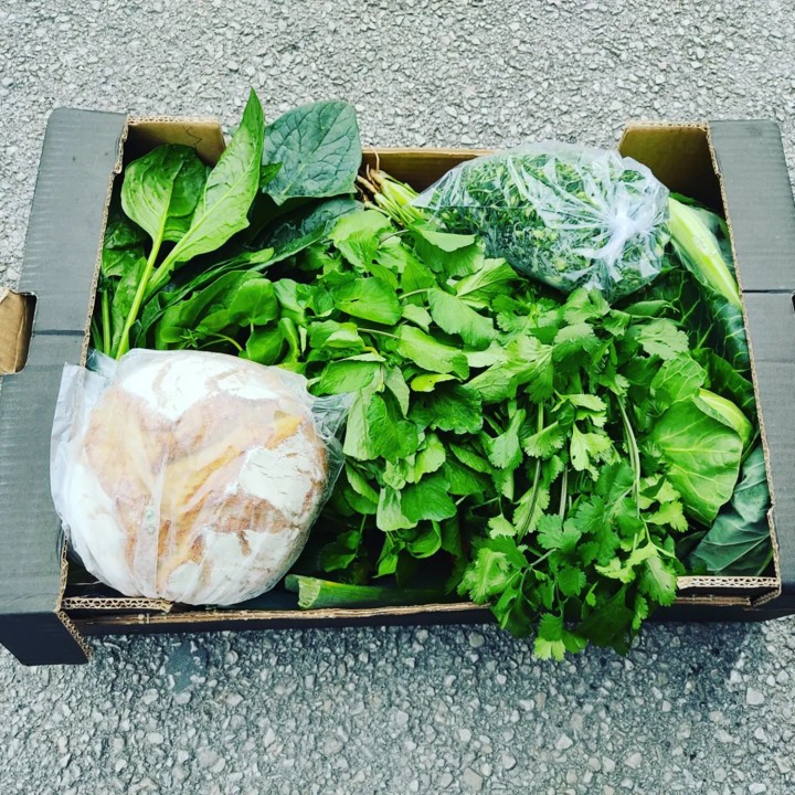 273755970_2236942723112143_8010133765560567106_n.j