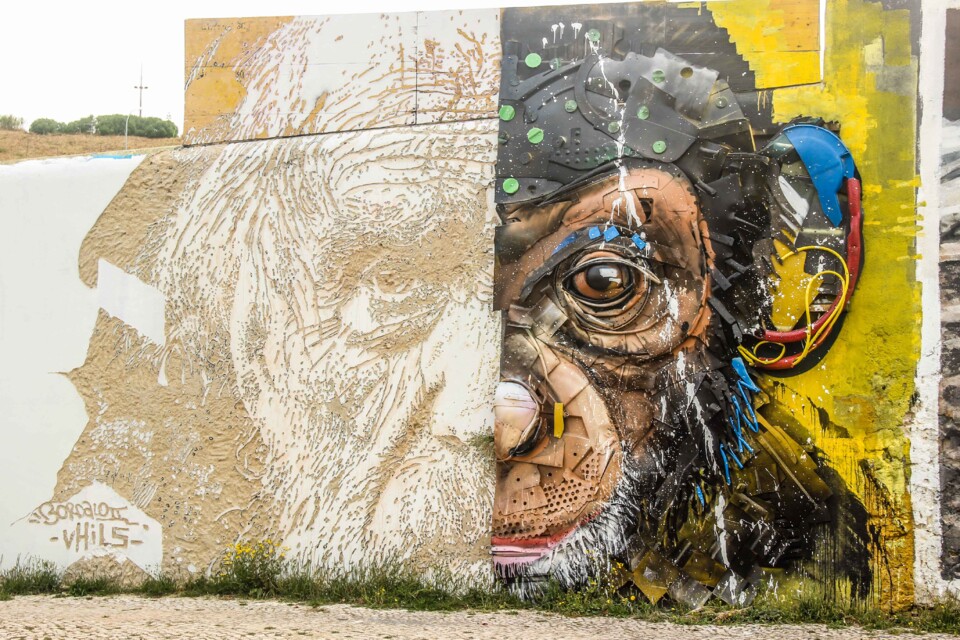 bordalo II e Vhils.jpg
