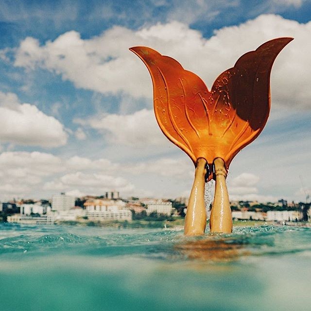 59901775_2068268076634593_5020563992538935625_n.jp 59901775_2068268076634593_5020563992538935625_n.jp