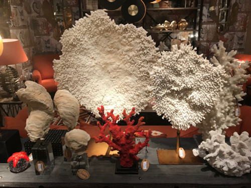 Primeira Casa da Rua by Nuno Matos Cabral na Maiso