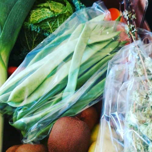 27973097_1045377682268659_376884267801103150_n.jpg 27973097_1045377682268659_376884267801103150_n.jpg