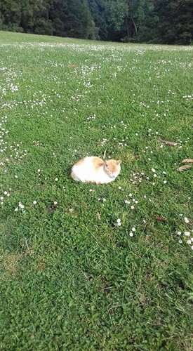 18557060_1309825315799437_3918878097622574170_n.jp