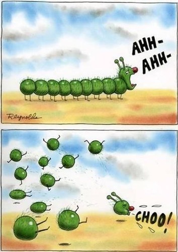 Lagarta Constipada.jpg