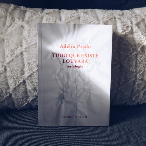 D47DD18E-9B5D-4983-83A2-4D657F60B468.JPG D47DD18E-9B5D-4983-83A2-4D657F60B468.JPG