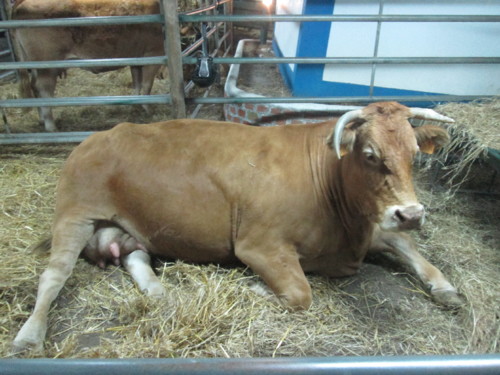 IMG_6317.JPG IMG_6317.JPG