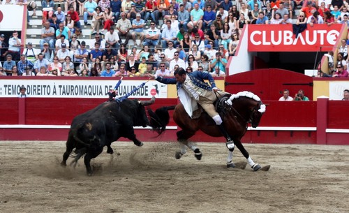 2Toiro Vitor Ribeiro.jpg