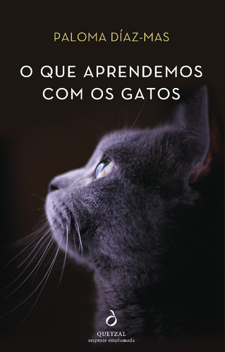 frenteK_que_podemos_aprender_Gatos.jpg