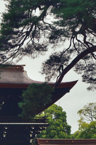 29512711_10216071287485043_4324262342725960916_n.j