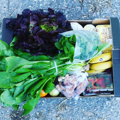 30710585_1079997558806671_6514608194979243021_n.jp