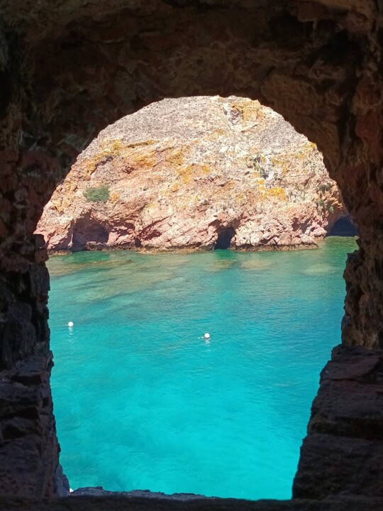 Não me canso disto.jpg