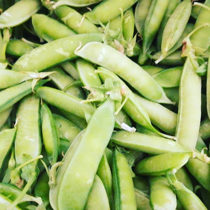 56255431_1338659396273818_4341376818519998464_n.jp