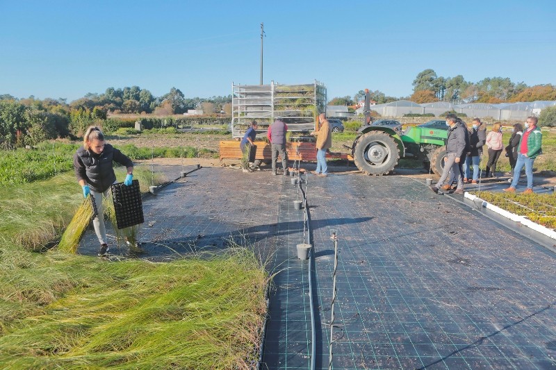 fotos (10)caldeiroes.jpg