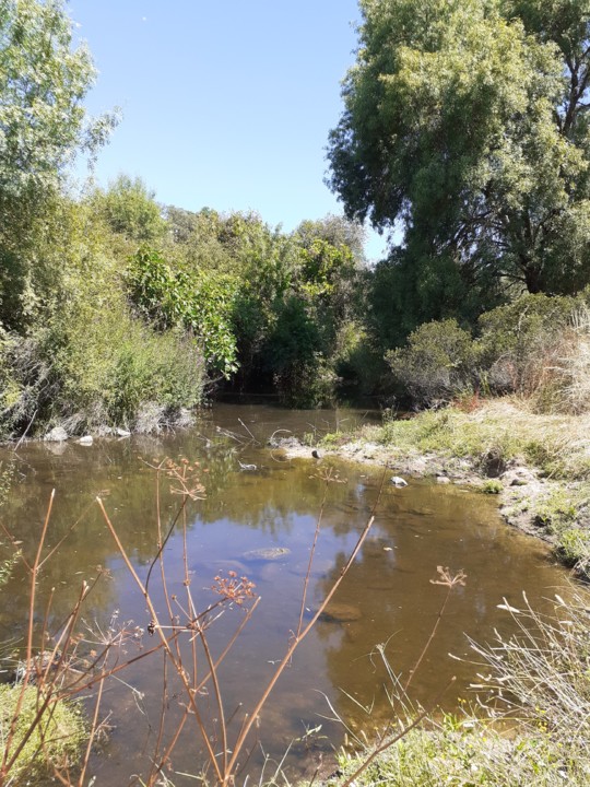 Ribeira do Porcozunho. Foto original. 2021.07.08.jpg