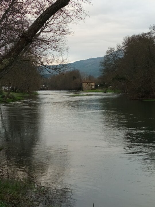 Não me canso disto caminhada.jpg