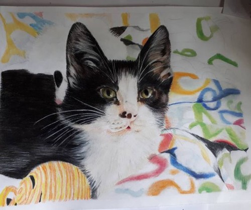 f9d47017a69dabb2c16d017bff240c3a.jpg f9d47017a69dabb2c16d017bff240c3a.jpg