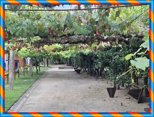 27b_Ponte_de_Lima (221).jpg