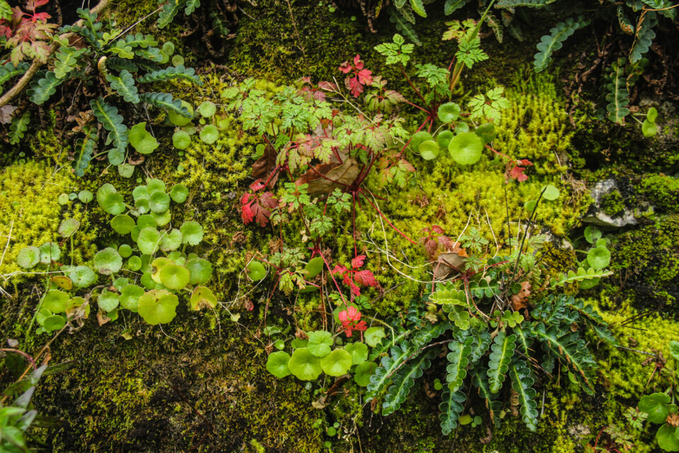 cascata do boição 3.jpg