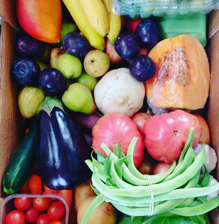 546704486_18499249381066958_2269995008619745820_n.