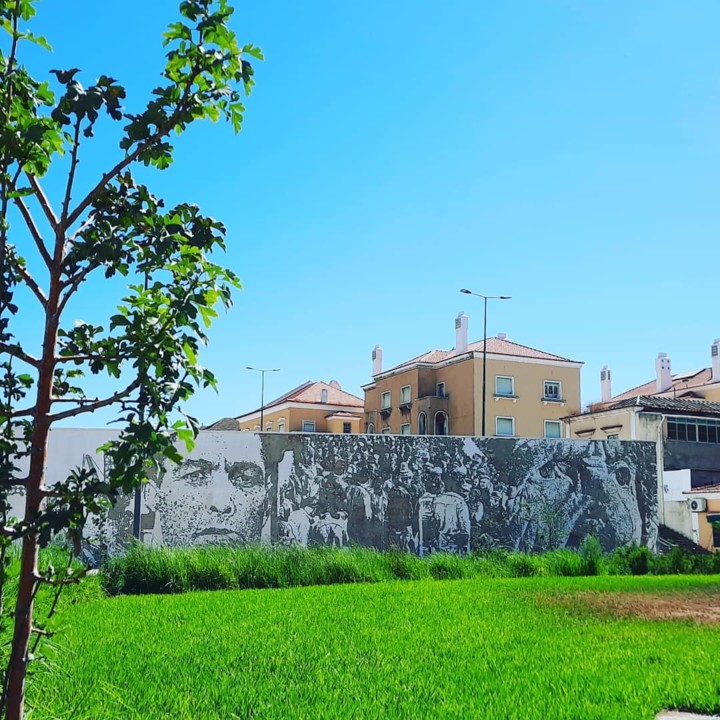 117968857_10219913205719128_5053435700731102811_o.