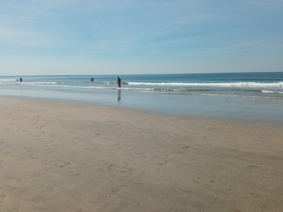 IMG_20200908_125336.jpg IMG_20200908_125336.jpg