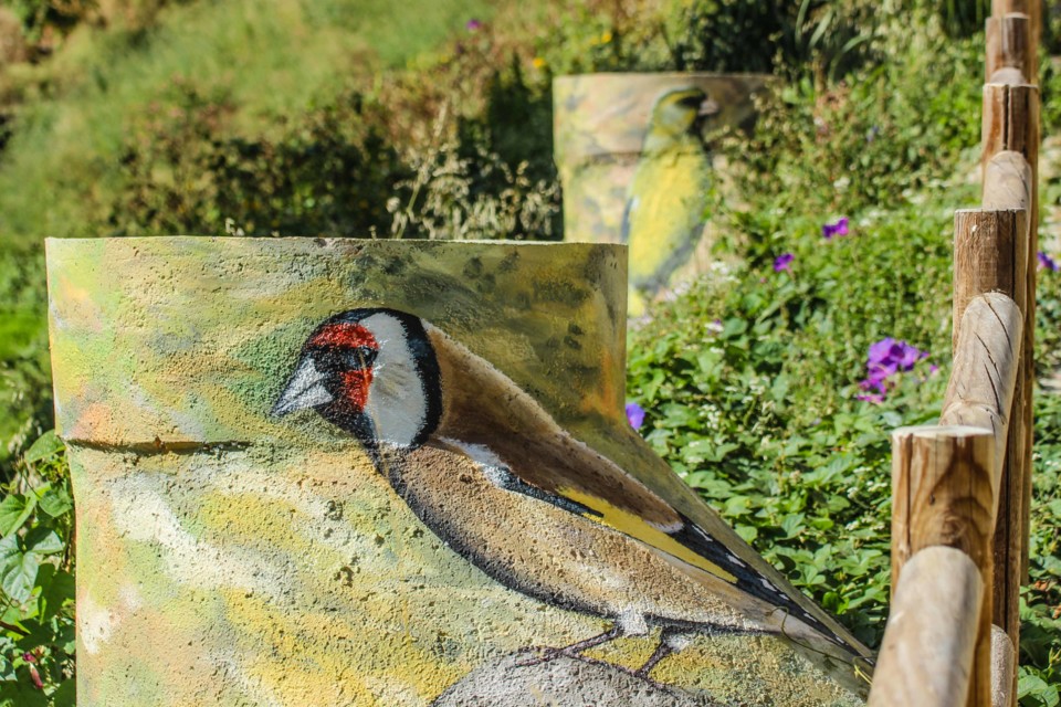 trilho das vinhas-67.jpg