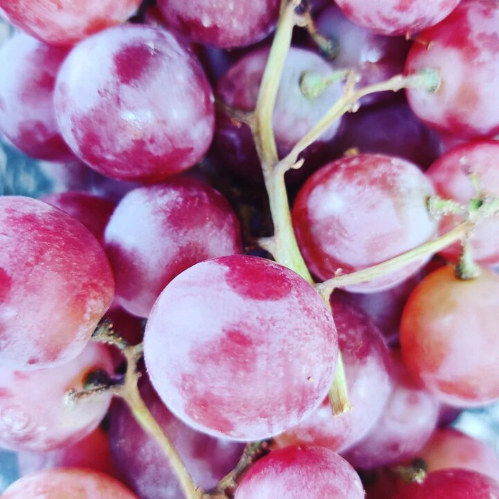 542742032_18497653408066958_2501075822575854097_n.