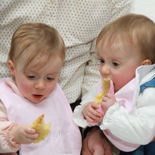 MiniAnoBolo.jpg MiniAnoBolo.jpg