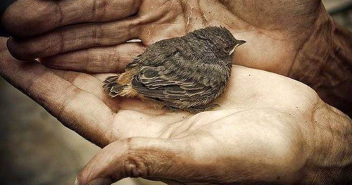 VIDA SIMPLES.jpg VIDA SIMPLES.jpg