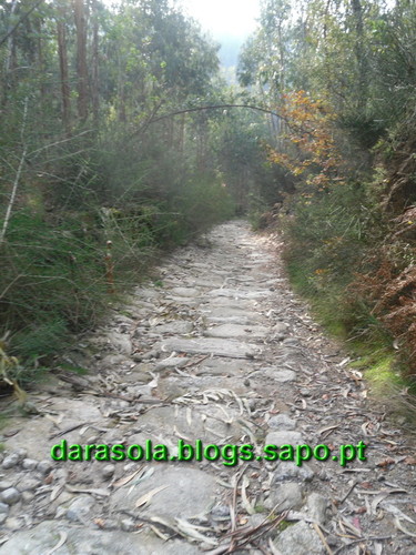 Trilho_Eiras_Famalicao_41.JPG
