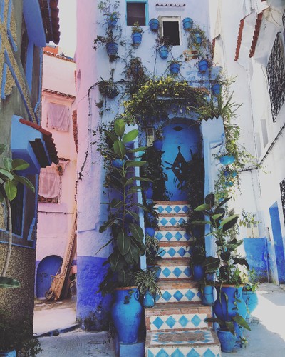 IMG_6599.JPG IMG_6599.JPG