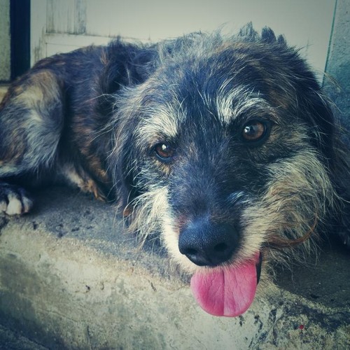 2016-02-21 15.33.25.jpg