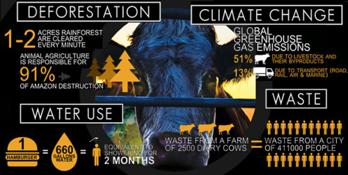cowspiracy 8.jpg