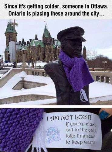 cachecol doaçao otawa.jpg