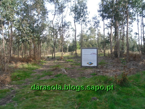 Trilho_Eiras_Famalicao_22.JPG