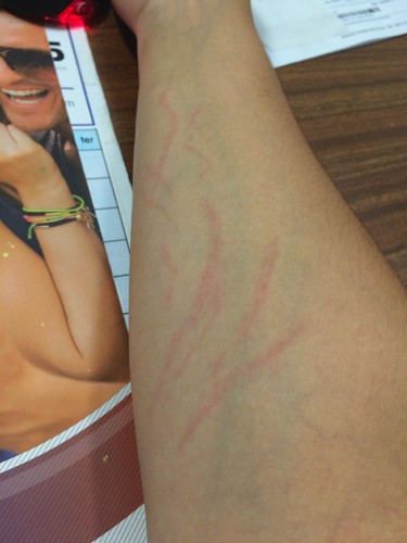 IMG_1032M.jpg IMG_1032M.jpg