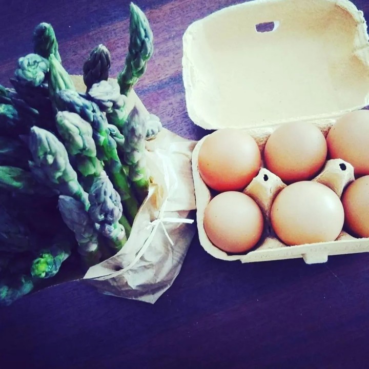 276015349_2263458737127208_671720260168053120_n.jp