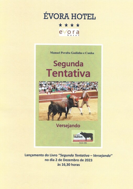 Livro Segunda Tentativa.jpg