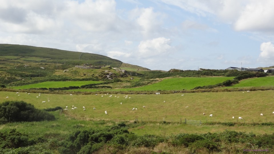 DSC07100.JPG DSC07100.JPG