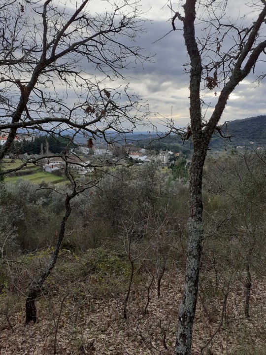 Bonfim Serra. Foto Original. 2021. 01. 08. jpg