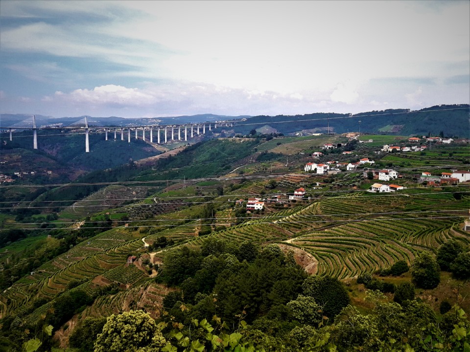 PONTE A24 AO LONGE.jpg