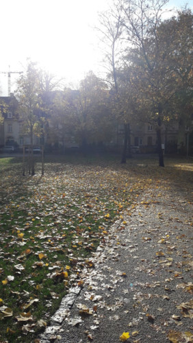 20181111_102313.jpg 20181111_102313.jpg