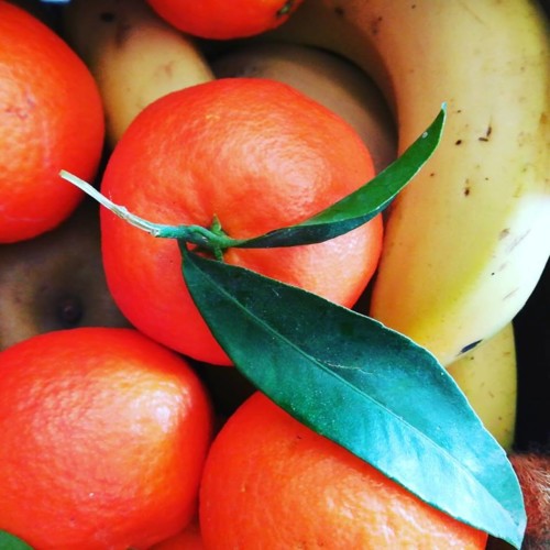 52598176_1312984062174685_4140313791483084800_n.jp