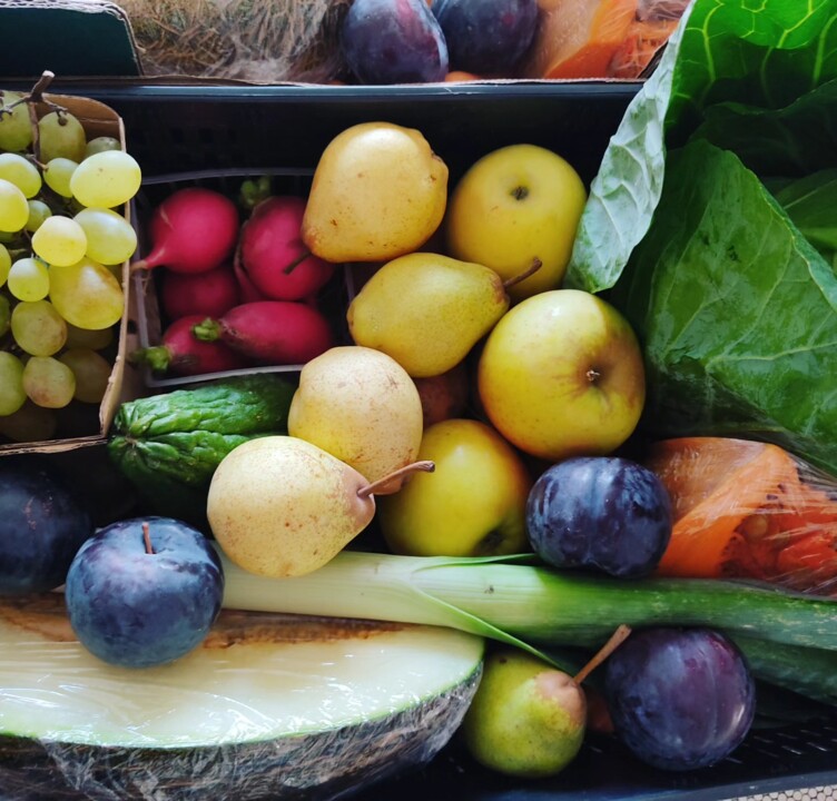 380840443_695918572565556_2994944145362913525_n.jp