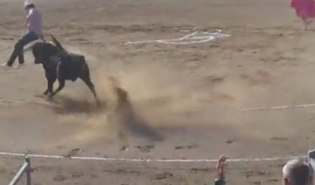 animalista radial colhido em Carcassone.png