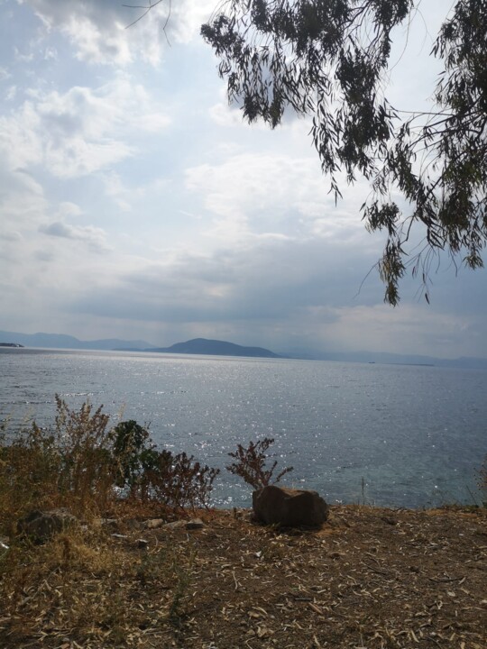 WhatsApp Image 2023-05-31 at 10.59.51 (2).jpeg