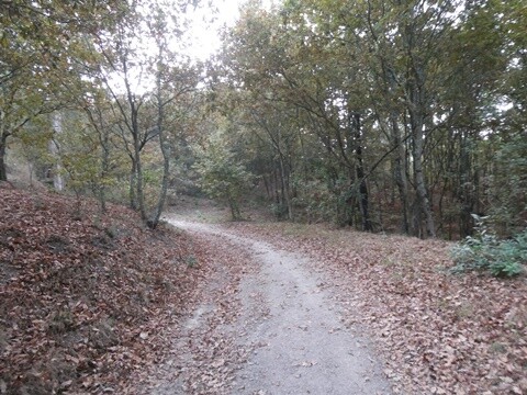 20a_Festival_dos_Rios_Lousada (12).JPG