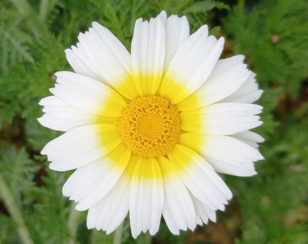 336645082_3307166846200801_1998204467164479378_n.j